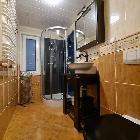 With Dishwasher In A Chalet Lathum