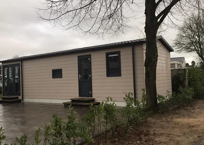 With Dishwasher In A